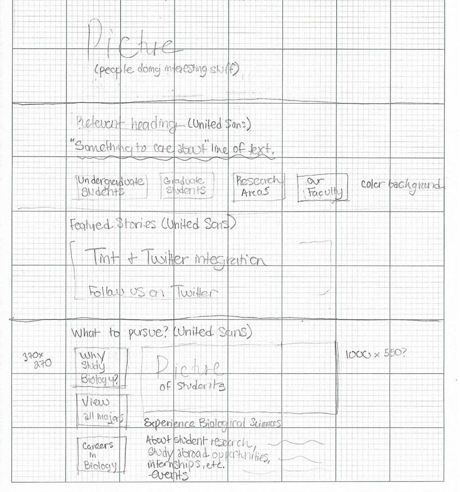 Paper sketch of the Biological Sciences homepage design